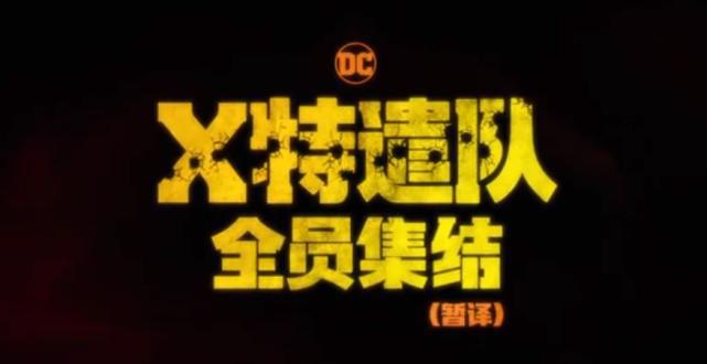 小丑女全新造型X特遣队强势回归，DC粉：可是这有什么好期待的呀