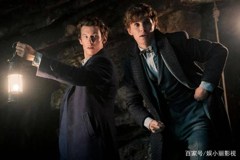 《神奇动物3》定档内地上映日期，《DC萌宠特遣队》发布新预告！