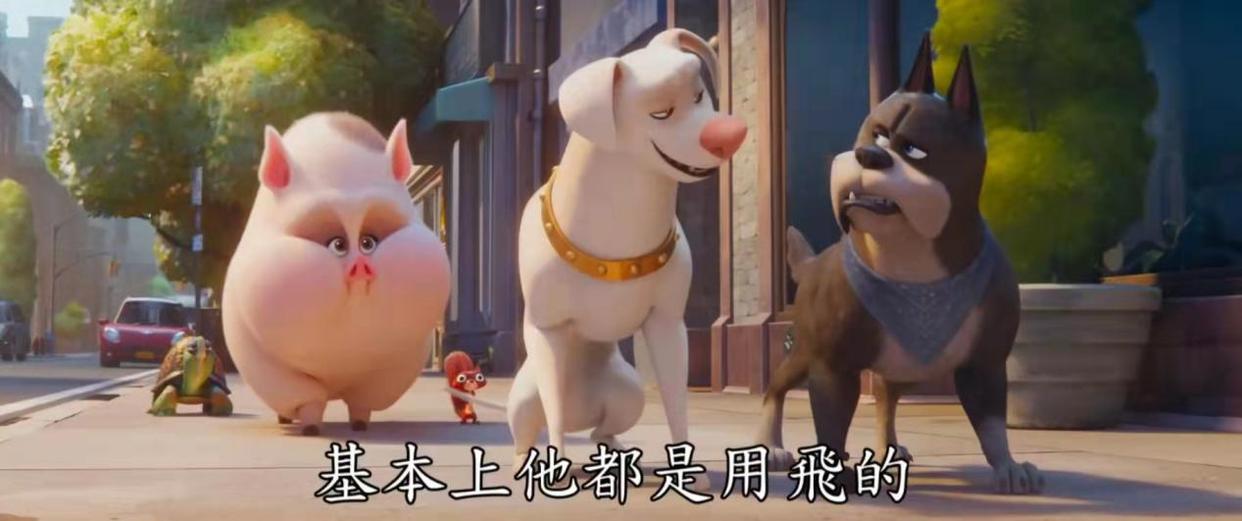 DC萌宠特遣队太颠覆！蝙蝠侠竟沦落到和狗比惨，还被制成小玩具