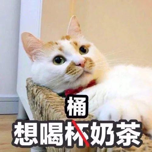 待春暖花开，我们一起奔向……