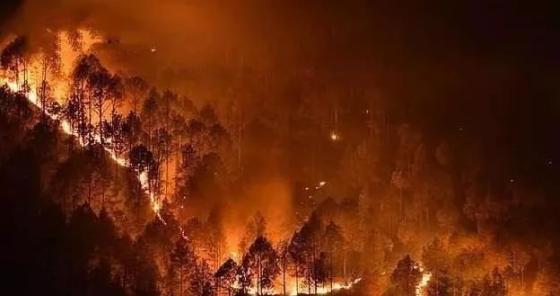 旧年献词：一言“难”尽的2019，拜了个拜