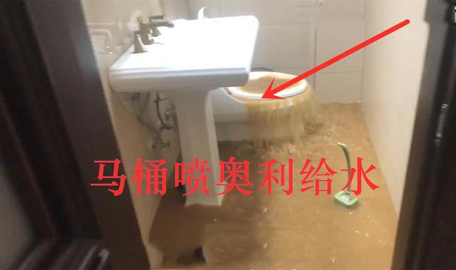 价值170万元手办被损坏，对方一句不关我的事就想跑，这怎么忍