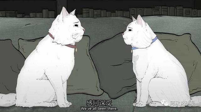 分分钟讲出大都市中屁民的辛酸，这样的动漫不多了