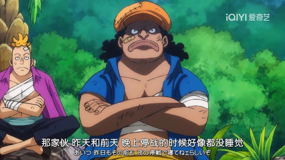 神の天敌！海贼王十位D之一族大盘点，地球乱不乱，他们说了算！