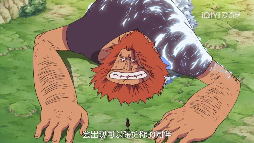 神の天敌！海贼王十位D之一族大盘点，地球乱不乱，他们说了算！