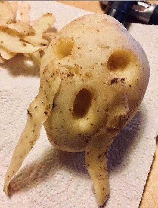 蔬菜的“名场面”，我画的都没它们长得好，太搞笑了，哈哈哈……