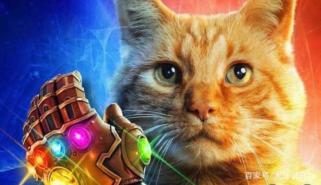 漫威DC中的动物千万不要惹，一个噬元兽就够了，这只毛毛虫更厉害