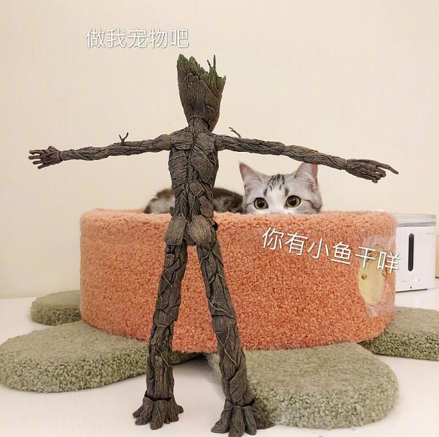 萌蠢猫咪遇上动漫手办的化学反应，格鲁特：这么肥真的太可爱啦！