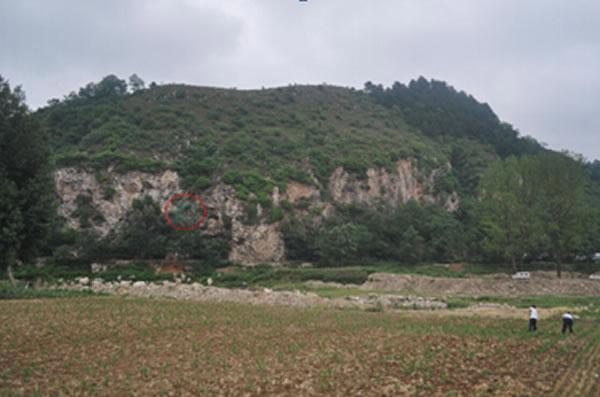 “栾川人”中原地区古人类考古的一次重要发现