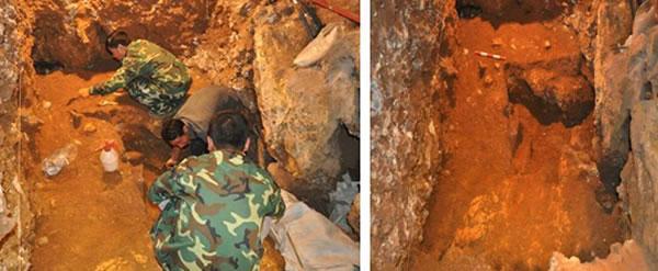 “栾川人”中原地区古人类考古的一次重要发现