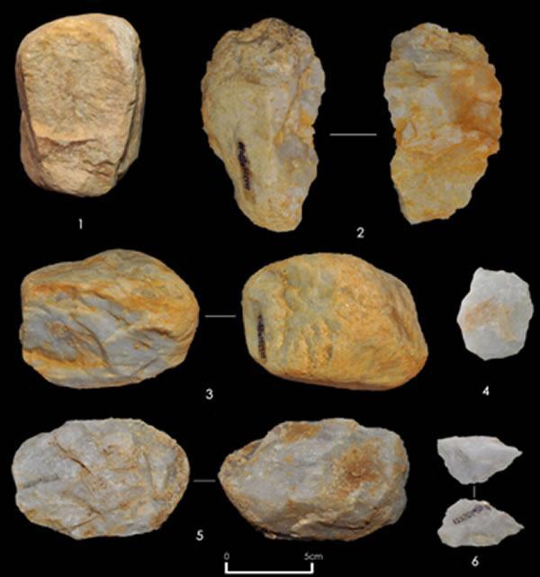 “栾川人”中原地区古人类考古的一次重要发现