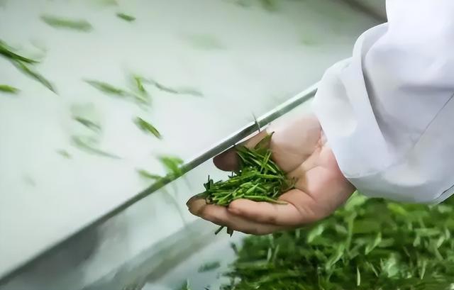 济南“艺”周预告来啦！逛第七届中国非遗博览会，体验陶艺拉坯……又是趣味多多的一周～