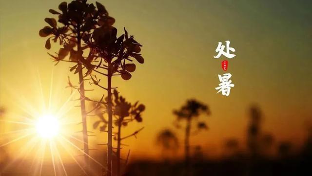 济南“艺”周预告来啦！逛第七届中国非遗博览会，体验陶艺拉坯……又是趣味多多的一周～