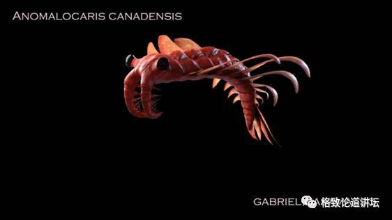 我们用来咬合的颌骨，竟和这条古鱼海怪一脉相承｜朱幼安