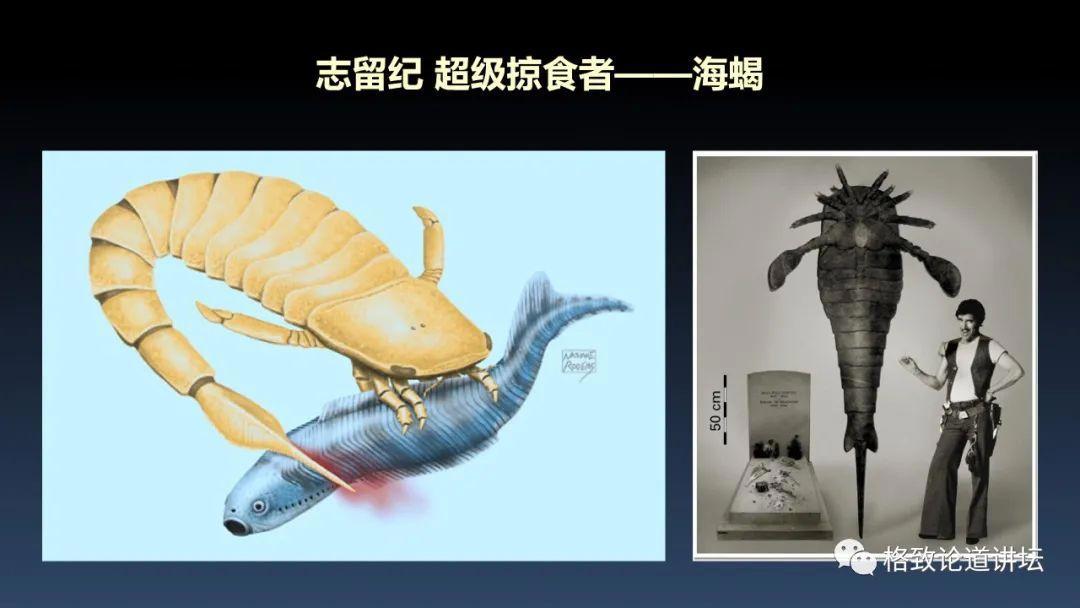 我们用来咬合的颌骨，竟和这条古鱼海怪一脉相承｜朱幼安