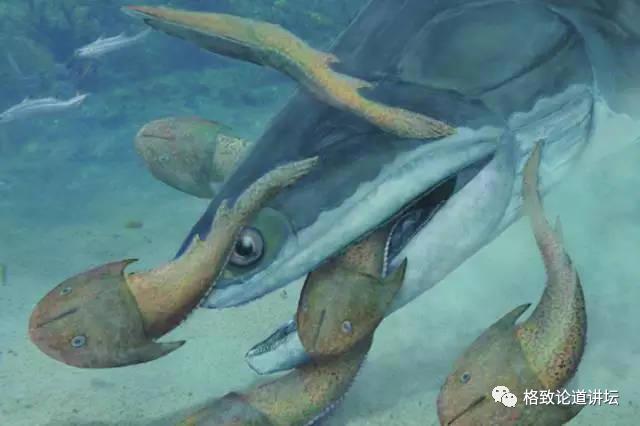我们用来咬合的颌骨，竟和这条古鱼海怪一脉相承｜朱幼安