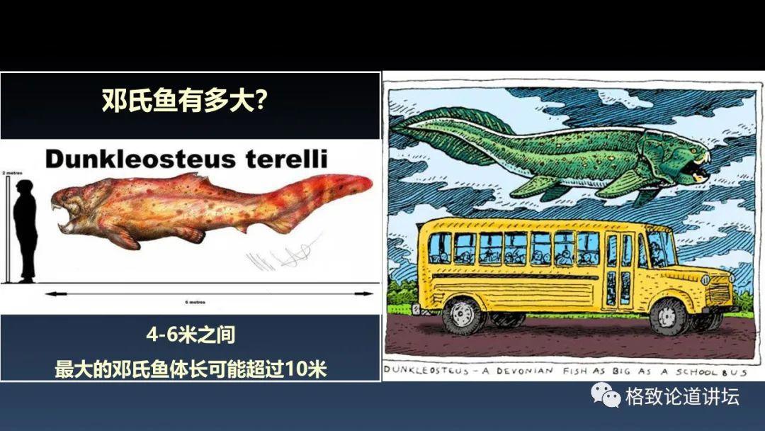 我们用来咬合的颌骨，竟和这条古鱼海怪一脉相承｜朱幼安