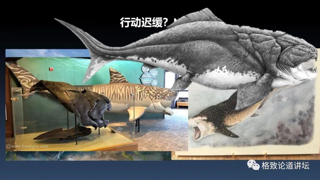 我们用来咬合的颌骨，竟和这条古鱼海怪一脉相承｜朱幼安