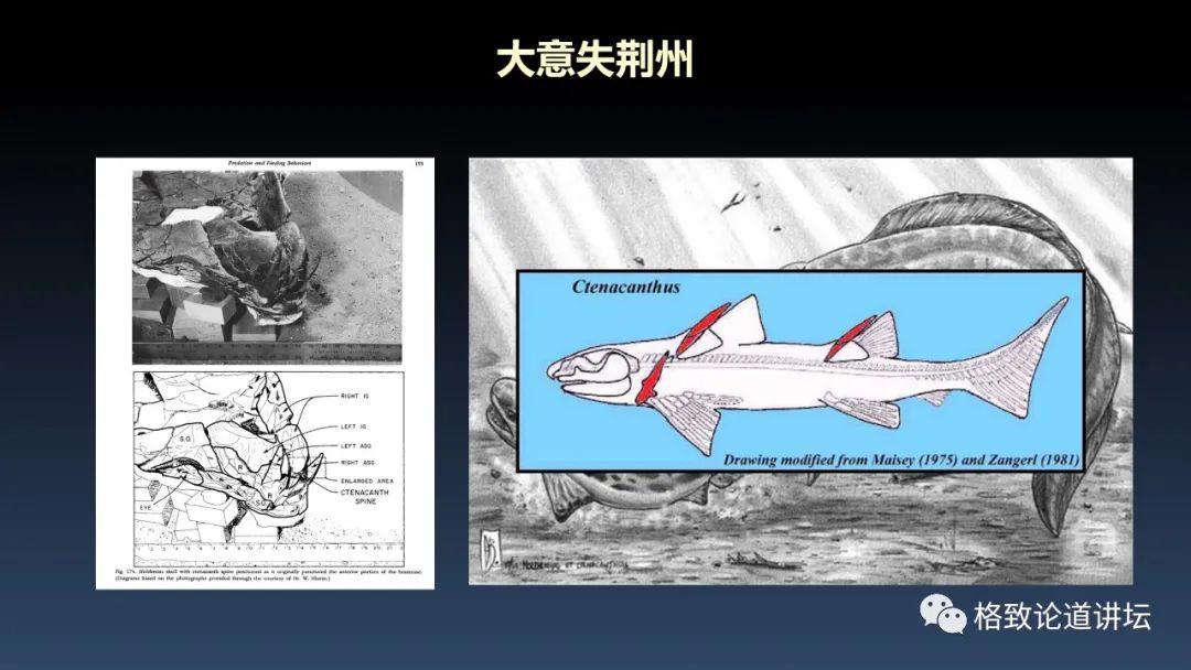 我们用来咬合的颌骨，竟和这条古鱼海怪一脉相承｜朱幼安