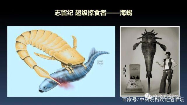 我们用来咬合的颌骨，竟和这条古鱼海怪一脉相承