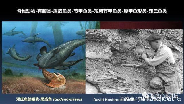 我们用来咬合的颌骨，竟和这条古鱼海怪一脉相承