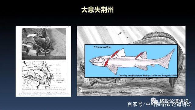 我们用来咬合的颌骨，竟和这条古鱼海怪一脉相承