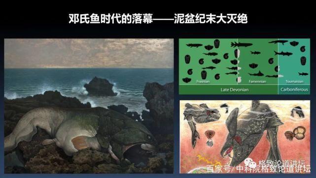 我们用来咬合的颌骨，竟和这条古鱼海怪一脉相承