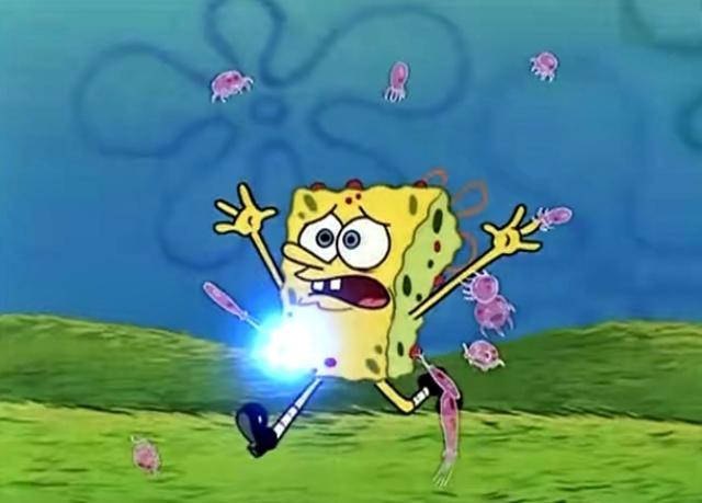 为了回归自然生活海绵宝宝搬去和水母一起住第二天他就后悔了