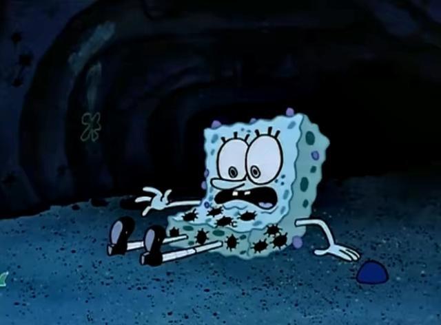 为了回归自然生活海绵宝宝搬去和水母一起住第二天他就后悔了