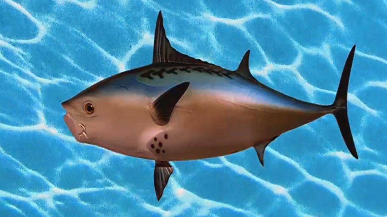 海绵宝宝：动漫里隐喻多，菠萝房暗示着什么？其实是漫友脑补过多