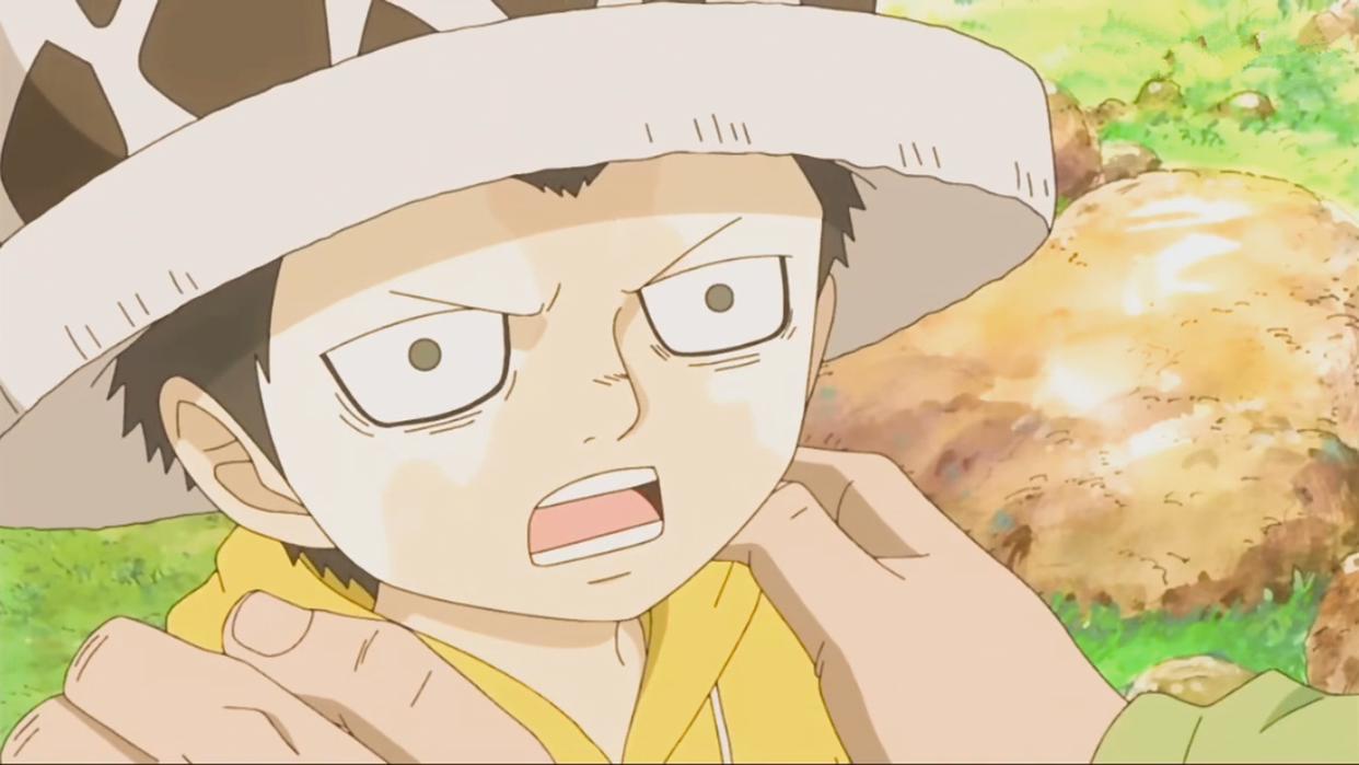 航海王：罗大仇已报，还跟着路飞玩，他会成为动漫里另一个白胡子