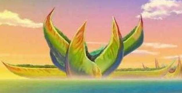 海贼王：最神奇的5种植物，最后一种为奥运会禁止的物品