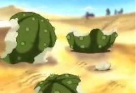 海贼王：最神奇的5种植物，最后一种为奥运会禁止的物品