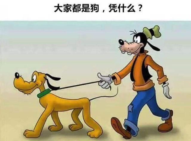 动漫中的“神剧情”，《海绵宝宝》的剧情让小编头大