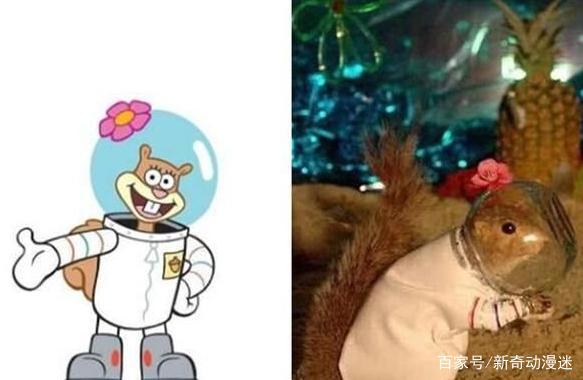 动漫：现实版的《海绵宝宝》，蟹老板被煮熟，珊迪的还原度最高！