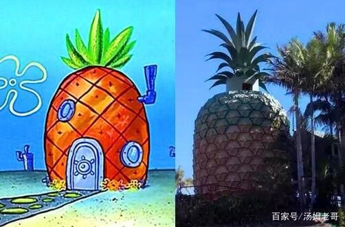 海绵宝宝的菠萝屋真的存在？原来动画并不全是骗人的