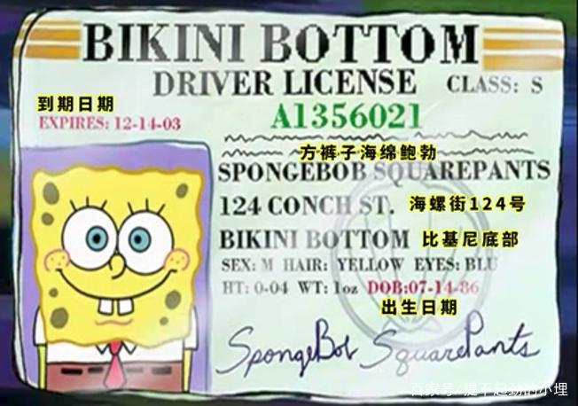 《海绵宝宝》你真的了解已经34岁的海绵宝宝吗？