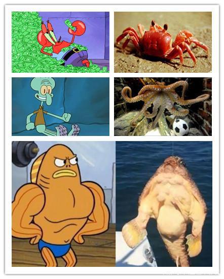 没想到《海绵宝宝》有这么多集，我一直以为它是个“宝宝”