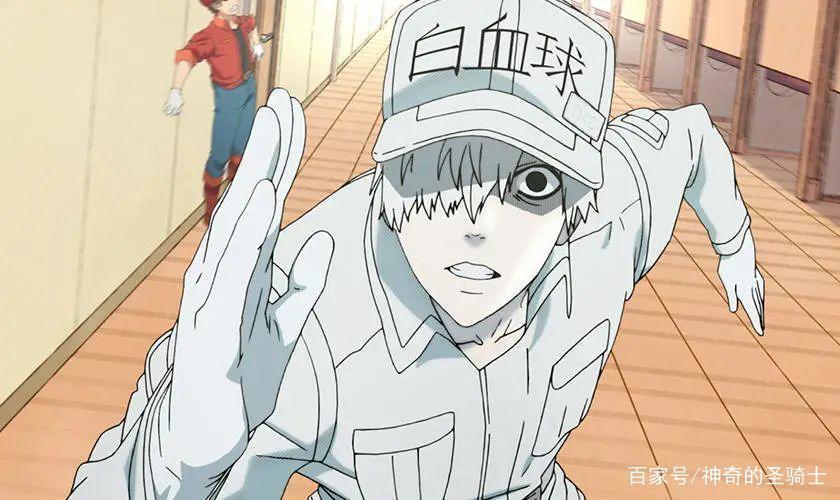 CCTV-6央视首播一部日系动漫