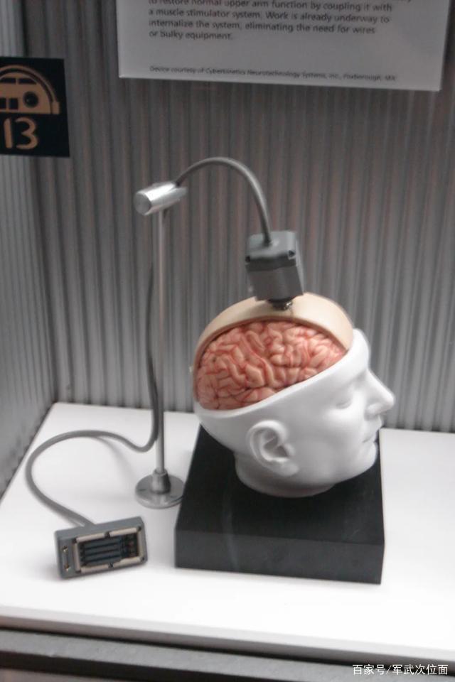 吊打上司，独占女神，马斯克说一年就将植入人脑的脑机接口有多神