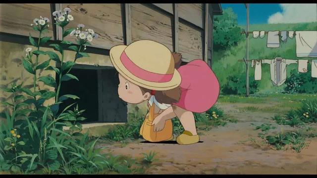 《龙猫》：阳光下的嫩芽，夜空里的大树，都是童年最美的梦境