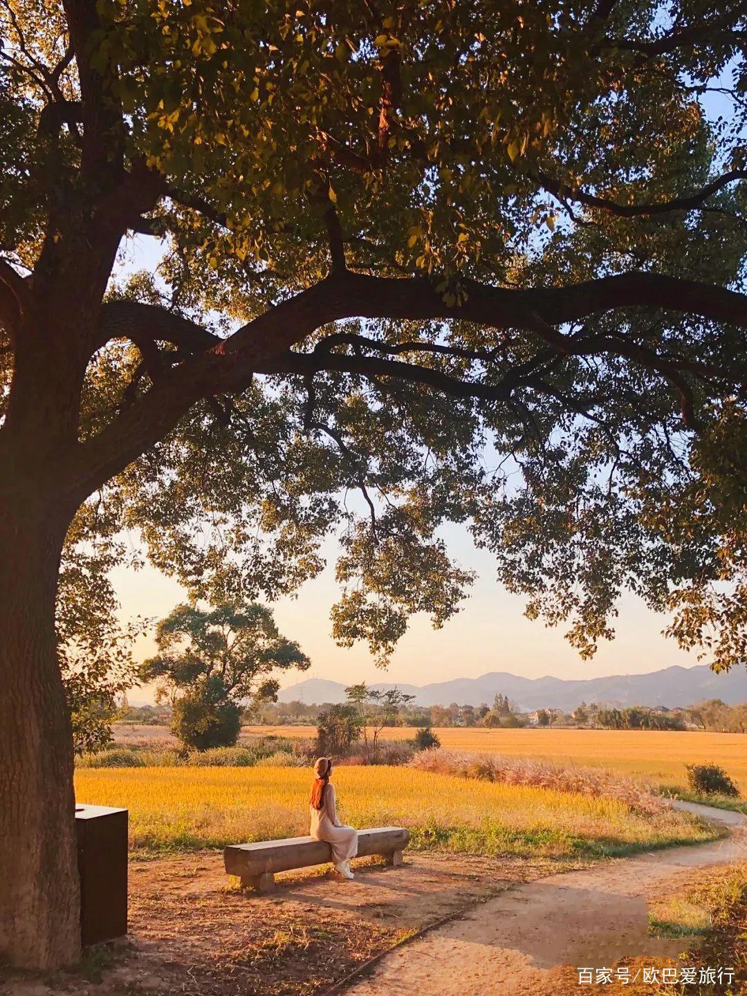 爆火网络出圈的中华第一城，被正式列入《世界遗产名录》