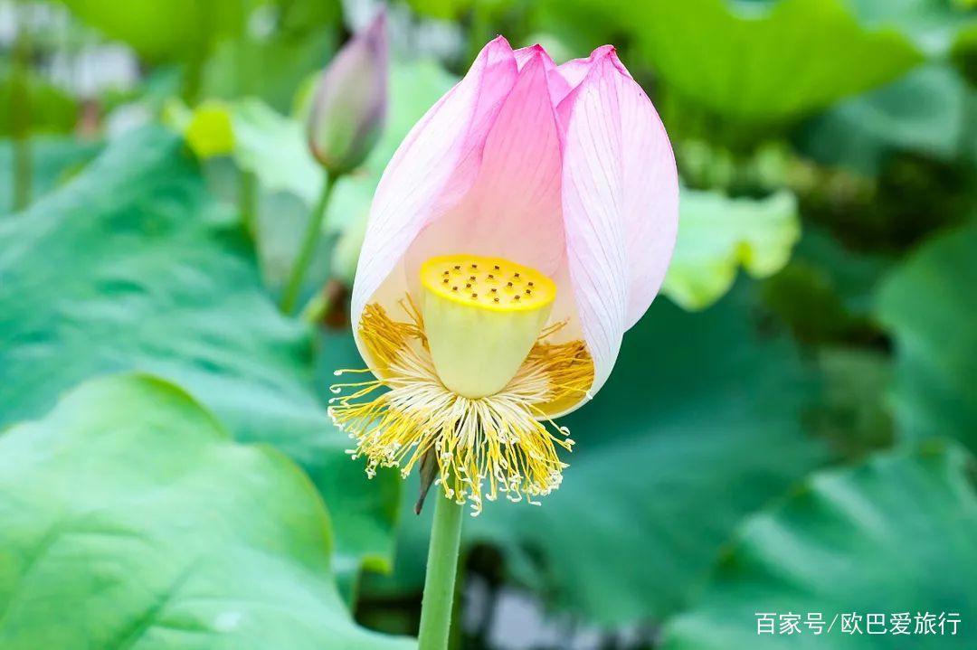 爆火网络出圈的中华第一城，被正式列入《世界遗产名录》
