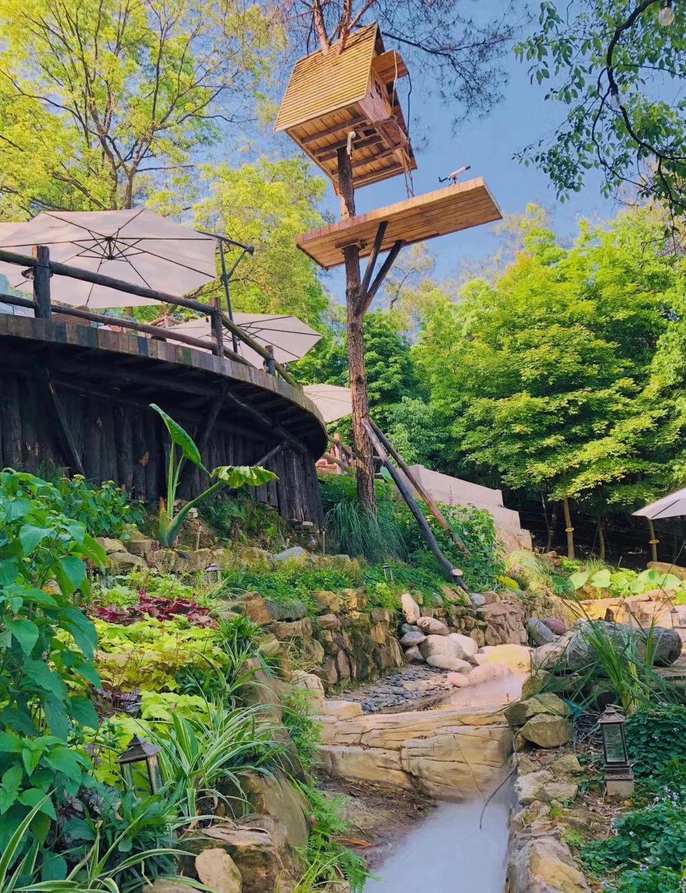 藏在重庆南山的奇妙花园，误入宫崎骏的漫画，在沉睡森林苏醒