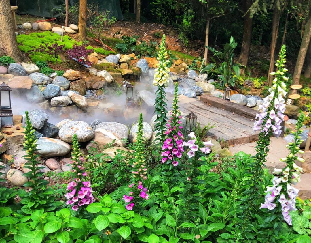 藏在重庆南山的奇妙花园，误入宫崎骏的漫画，在沉睡森林苏醒