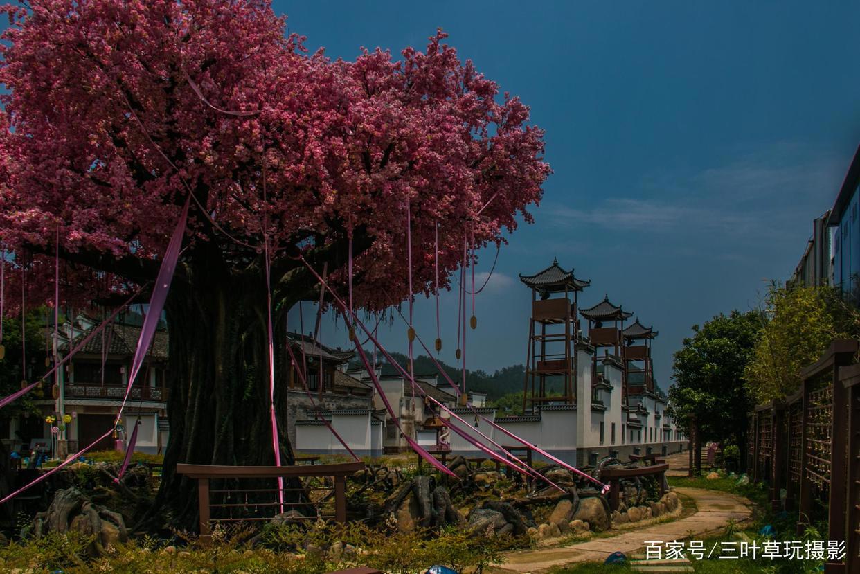 去临安河桥古镇，下车伊始就看到了《狐妖小红娘》的涂山城