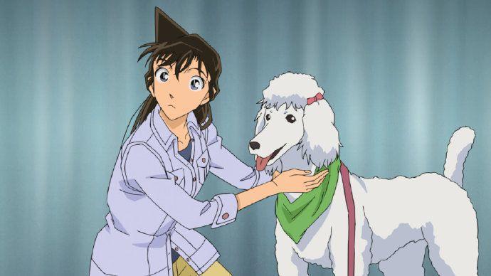 柯南TV动画年度报告：总结2019，展望2020