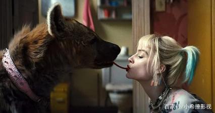 哈莉·奎茵将如何加入《自杀小队2》？DC导演做出解释