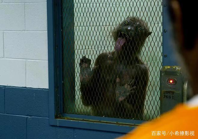 混乱的催化剂！《自杀小队2》导演谈论，他是如何塑造哈莉·奎茵的