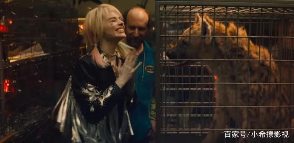 为何《猛禽小队》预告片，将焦点全部放在了哈莉·奎茵身上？